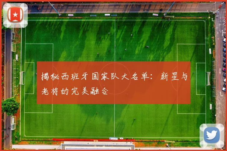 揭秘西班牙国家队大名单：新星与老将的完美融合