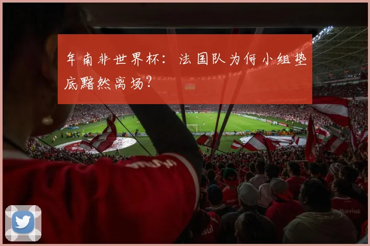 年南非世界杯：法国队为何小组垫底黯然离场？