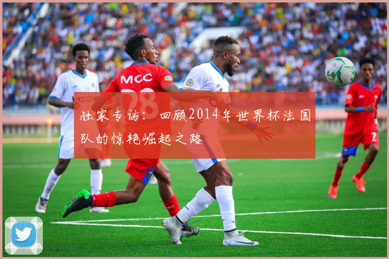 独家专访:回顾2014年世界杯法国队的惊艳崛起之路
